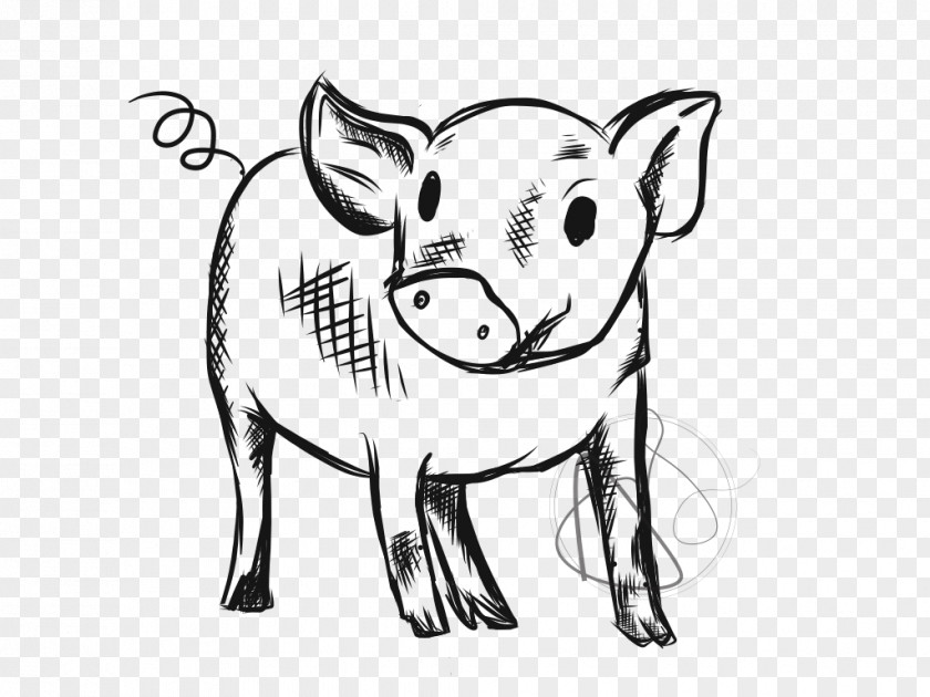 Tail Wildlife Pig Cartoon PNG
