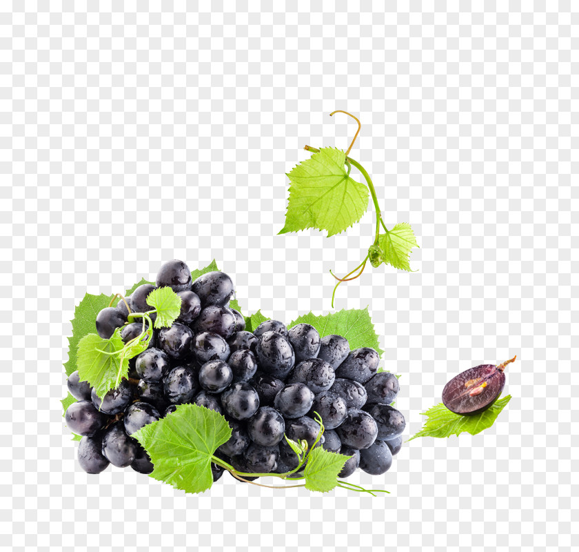 Vector Grapes Juice Common Grape Vine Berry Concord PNG