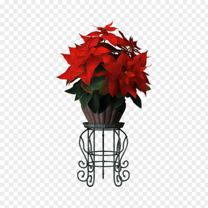 Flower Poinsettia Bouquet Christmas Floristry PNG