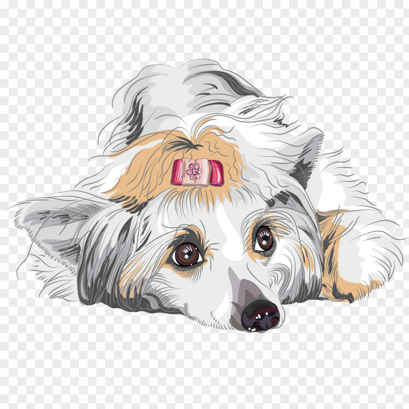 Hand-painted Puppy Poodle Cat Animal Illustration PNG