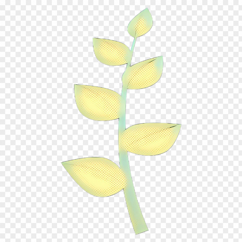 Moth Orchid Bud Flowers Background PNG
