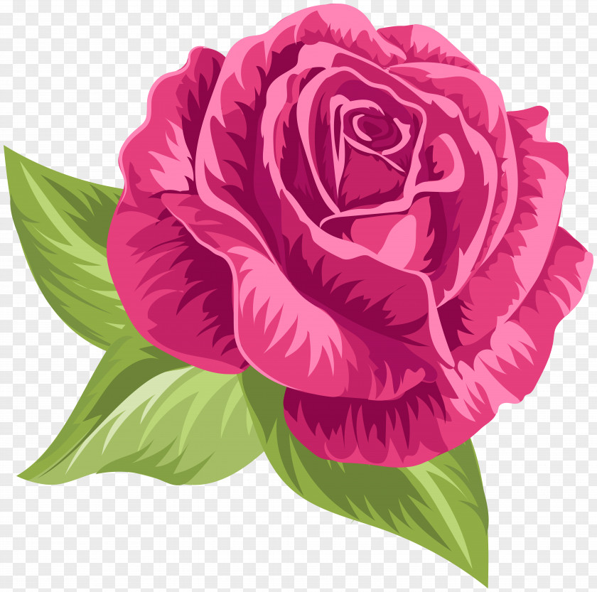 Pink Vintage Rose Clip Art Image File Formats Lossless Compression PNG