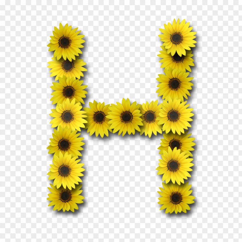 Sunflower Letter Case Alphabet PNG