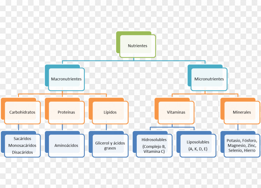 Cost System Research Knowledge Structure PNG