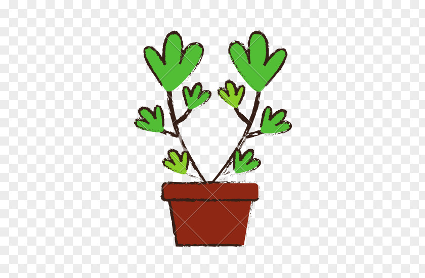 Flowerpot Woody Plant Tree Branch PNG
