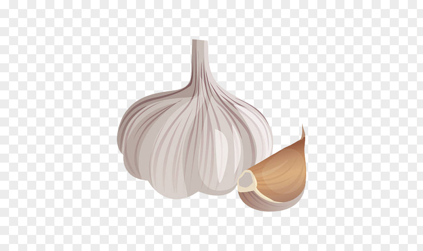 Food Vegetable Garlic Plant Allium Onion PNG
