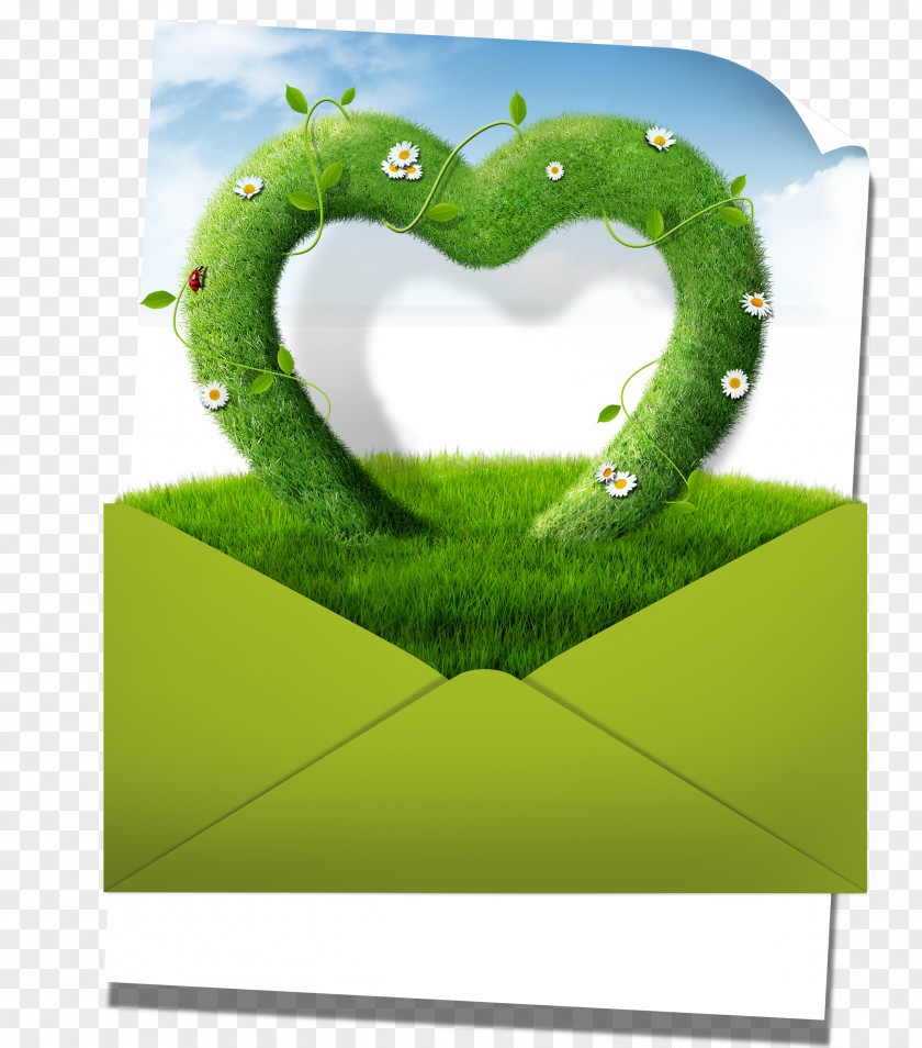 Green Envelopes In Grass And Blue Sky Download Plant Clip Art PNG