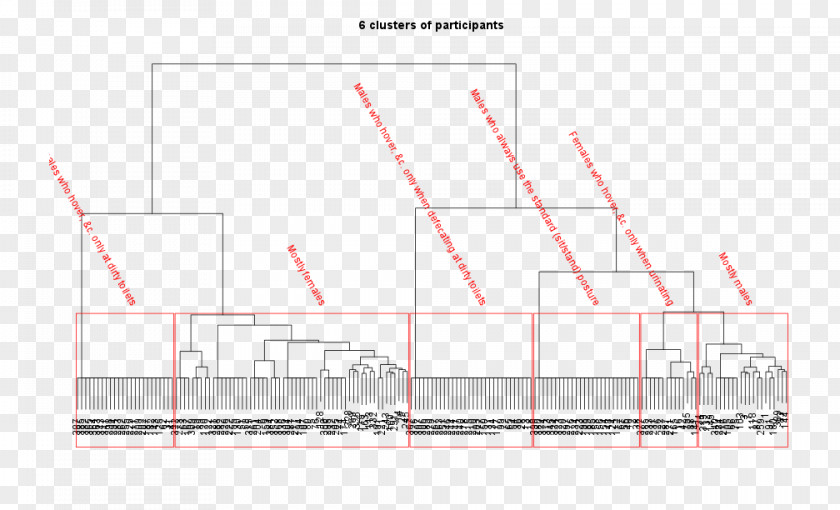 Line Brand Angle Diagram PNG