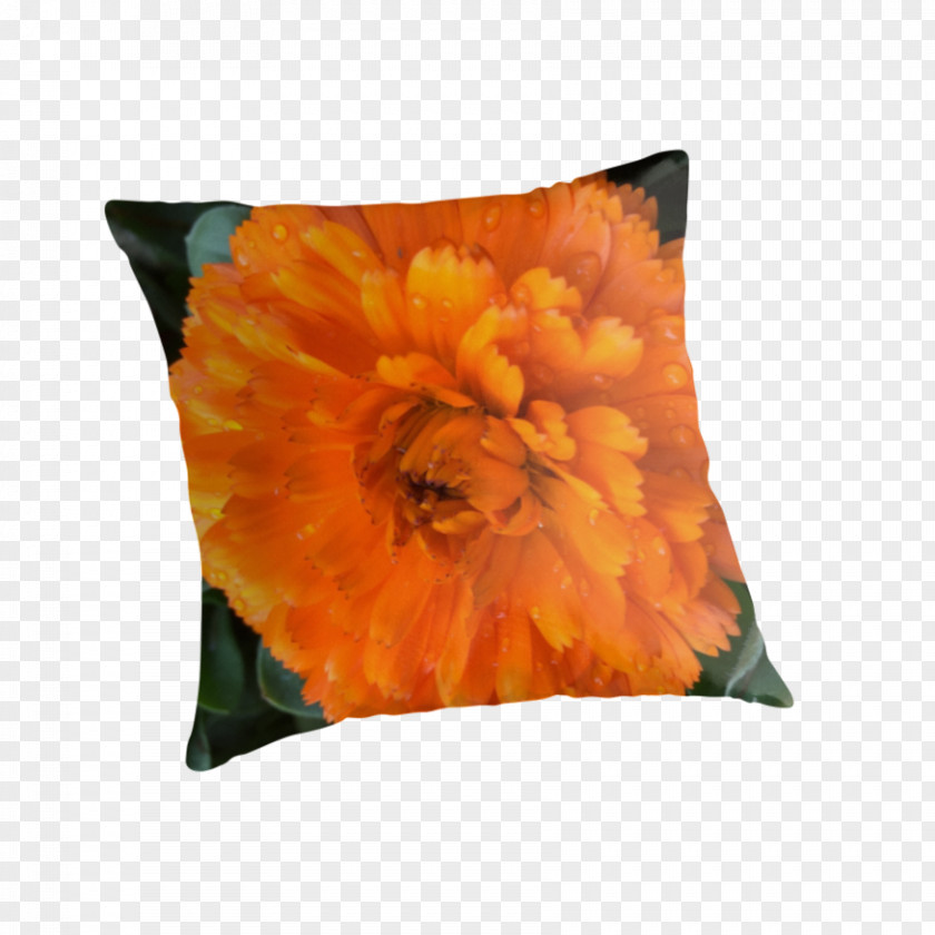 Raindrops Material Throw Pillows Cushion Flowering Plant Petal PNG