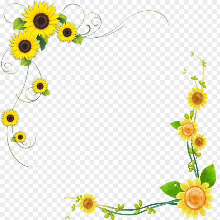 Sunflower Common Floral Design PNG
