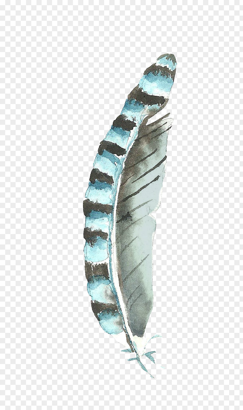 Watercolor Feathers Painting PNG