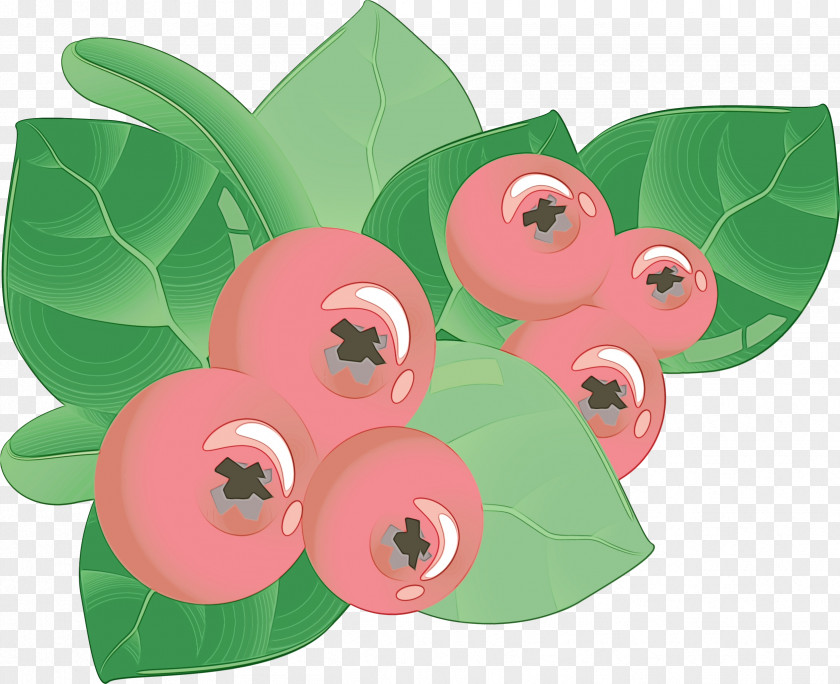 Automotive Wheel System Green Pink Leaf Plant Flower PNG