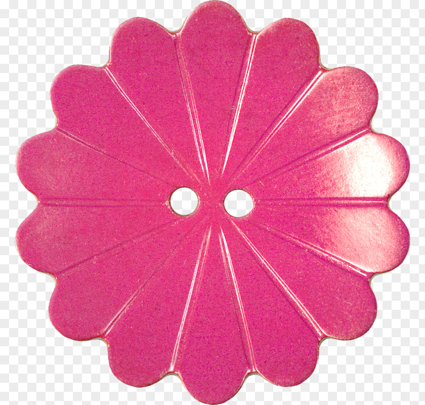 Confetti Petal Pink Yellow Magenta PNG