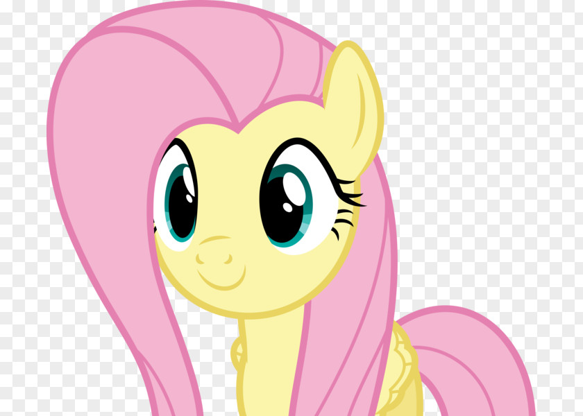 Fluttershy Pinkie Pie Rarity Applejack Twilight Sparkle PNG