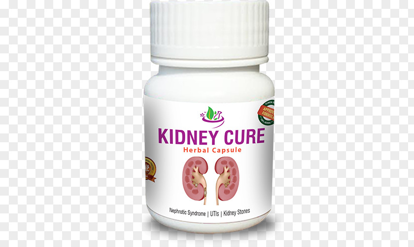 Kidney Ayurveda Medicine Failure Health PNG