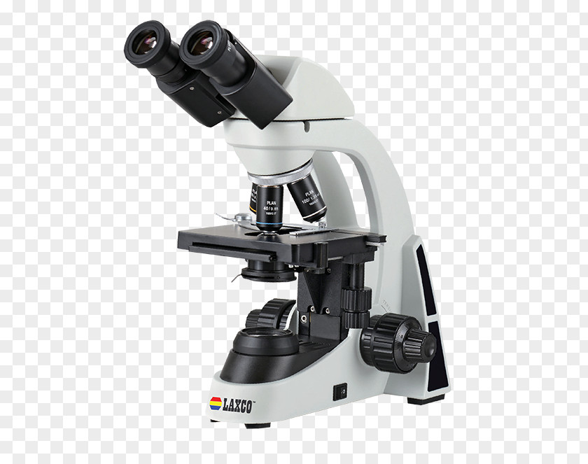 Portuguese Pointer Vidio Optical Microscope Microscopy Optics Light-emitting Diode PNG