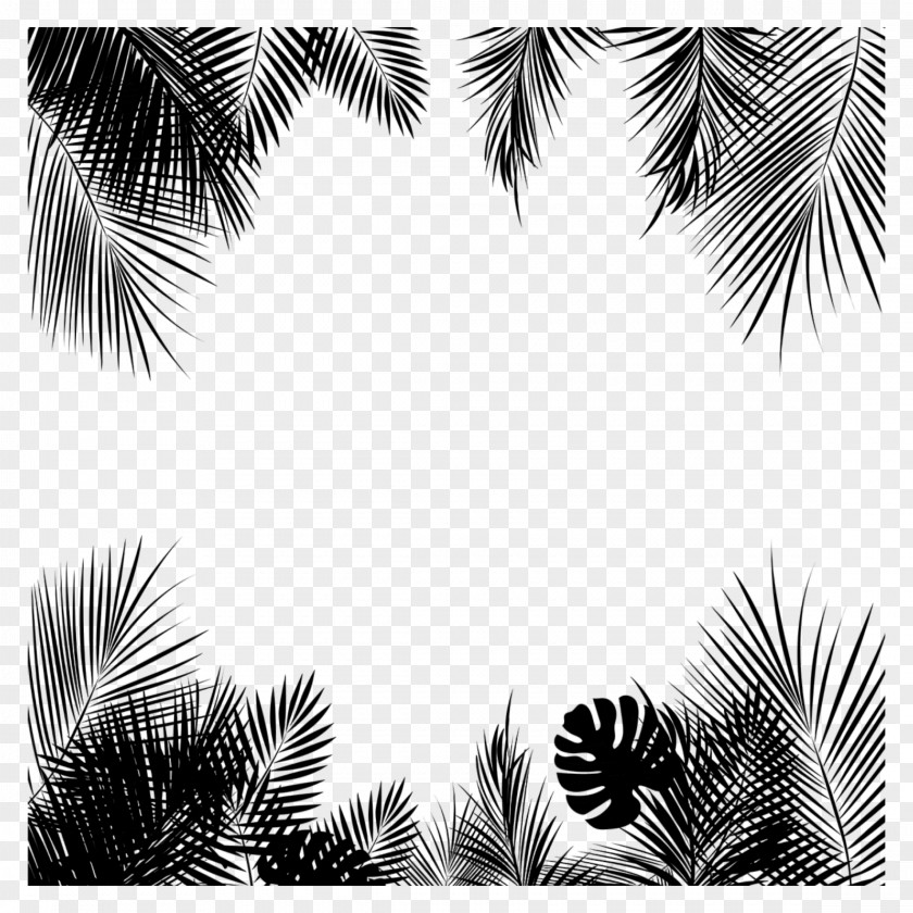 M Palm Trees Pattern Leaf Asian Palmyra Black & White PNG