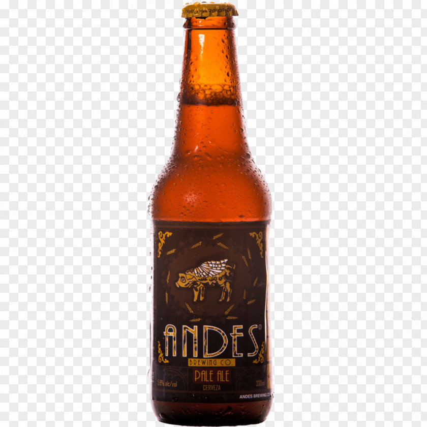 Pale Ale Beer Bottle Lager PNG