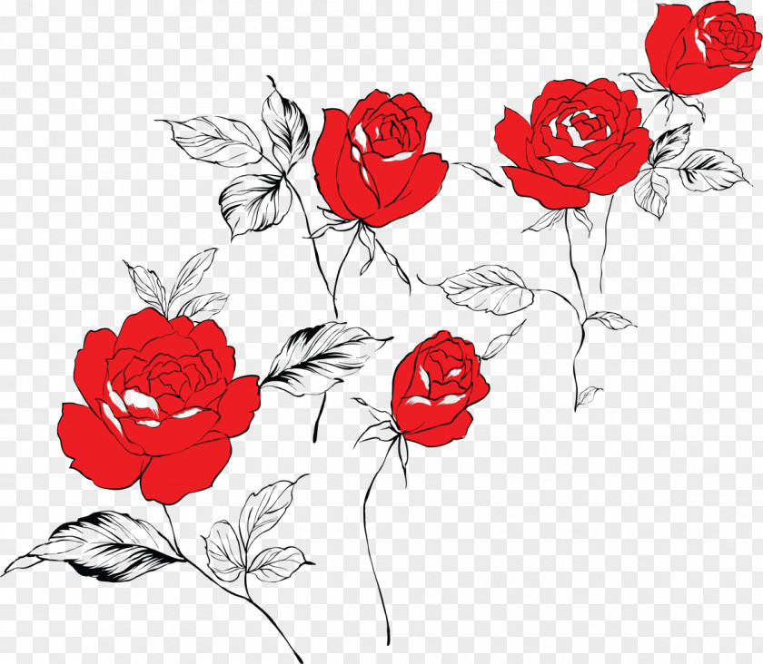 Rose Vector Beach Flower Plant Color PNG