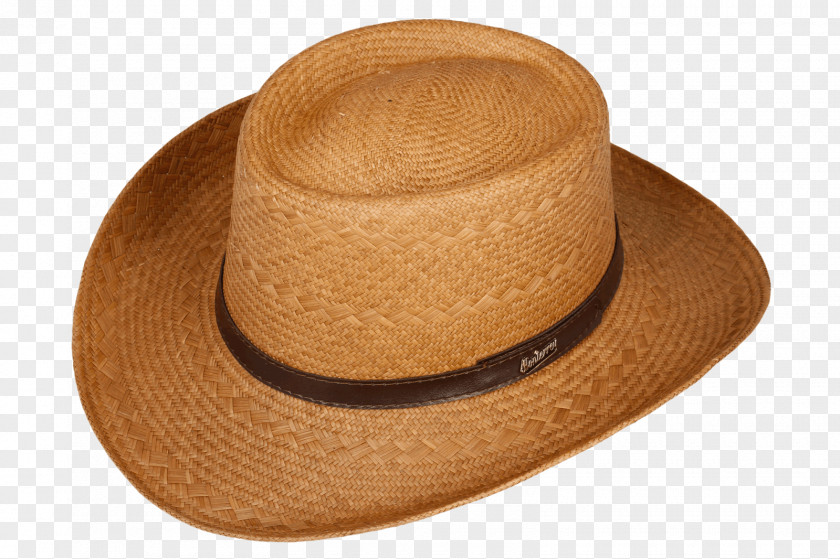 Hat Arizona Carludovica Palmata Straw PNG