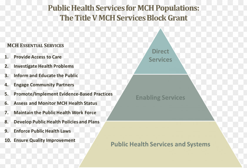 Health Care Public Maternal And Child Bureau PNG