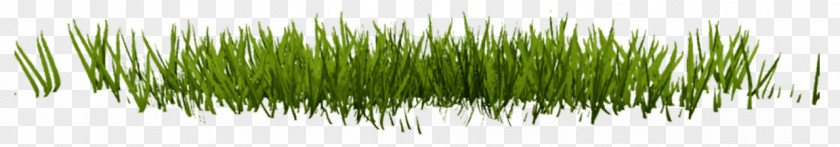 Lawn Desktop Wallpaper Clip Art PNG