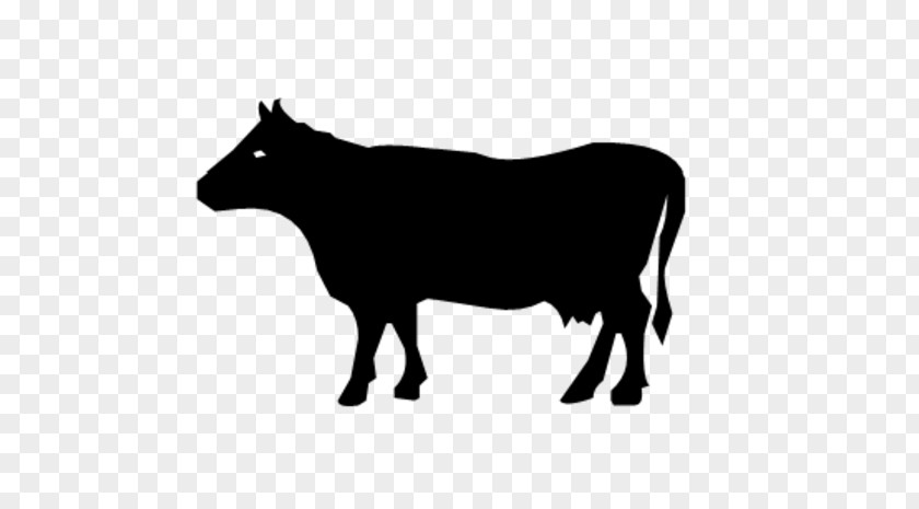 Beef Cattle Angus Dairy Calf PNG