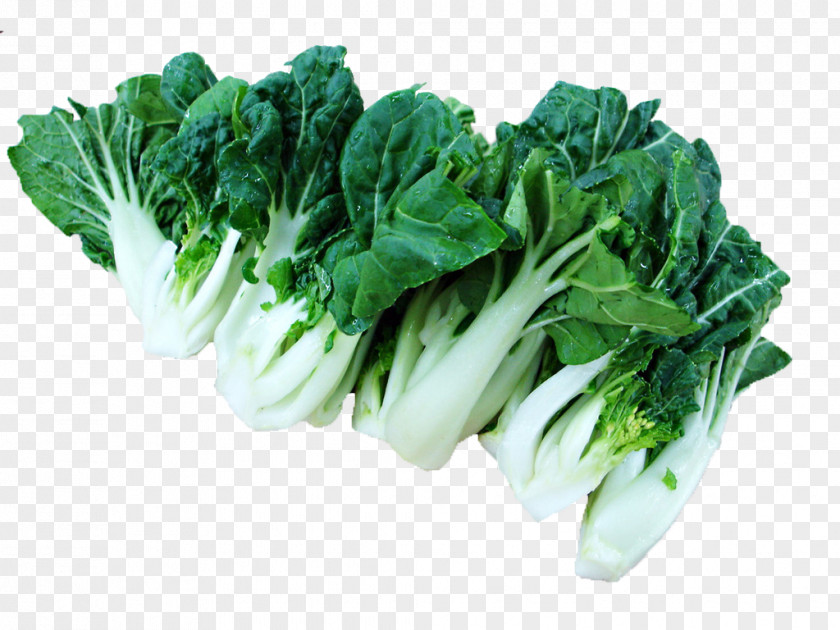 Food Silhouettes Painted Material,Vegetables Vegetables Bok Choy Napa Cabbage Chinese Vegetable PNG