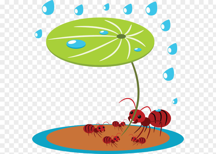 Ants Under Lotus Leaves Ant Royalty-free Photography Illustration PNG