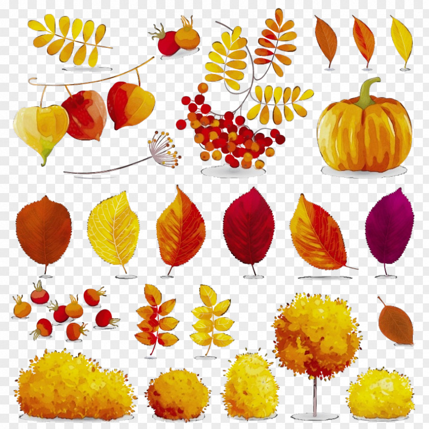 Autumn Fruit Leaf Yellow Clip Art Plant Tree PNG