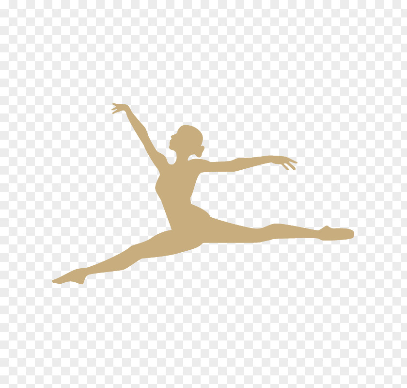Ballet Dancer Pirouette PNG