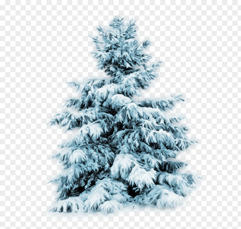 Christmas Tree Desktop Wallpaper Fir Holiday PNG