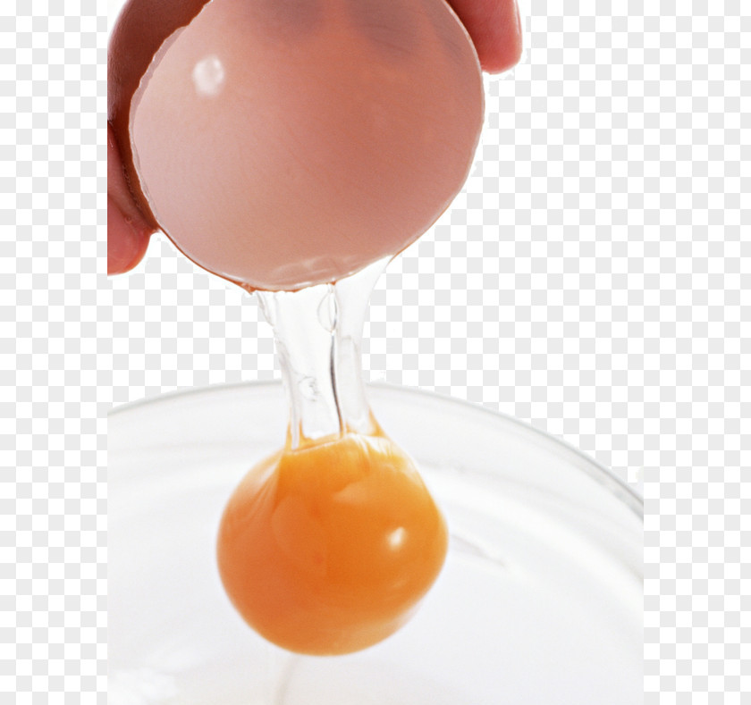 Egg Product Physical Map Chicken Ingredient Food Yolk PNG