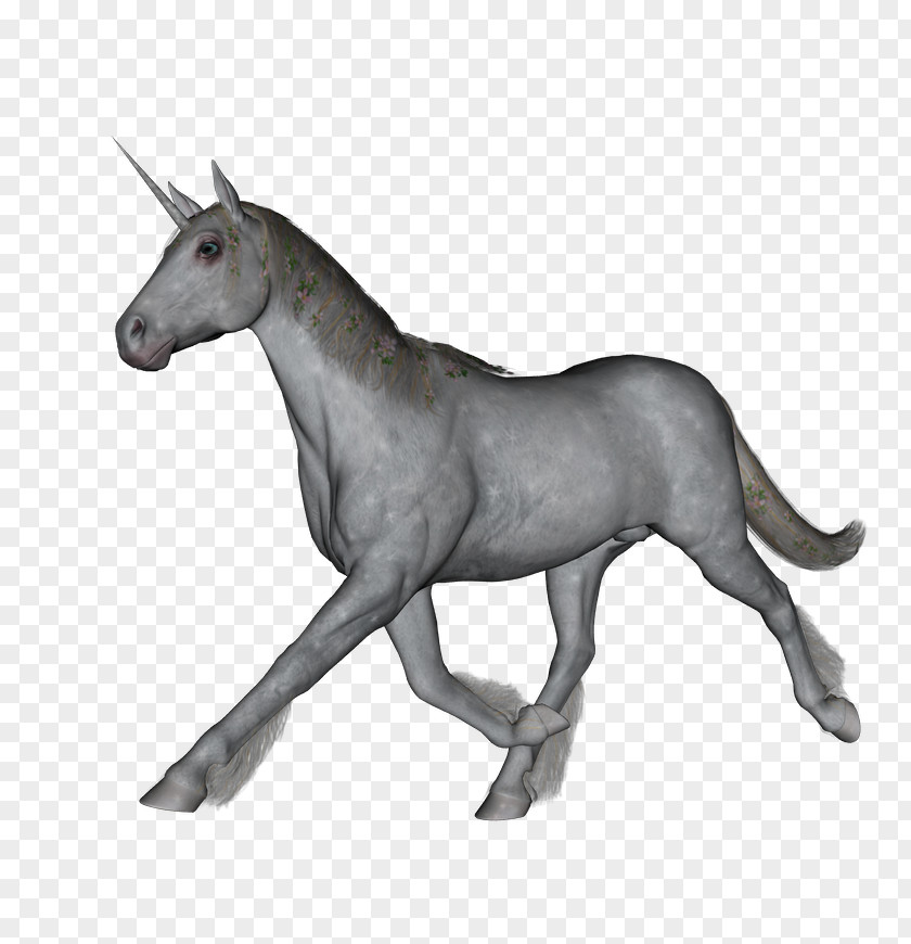 Fantasy Spot Mule Horse Gouache Halter Sketch PNG