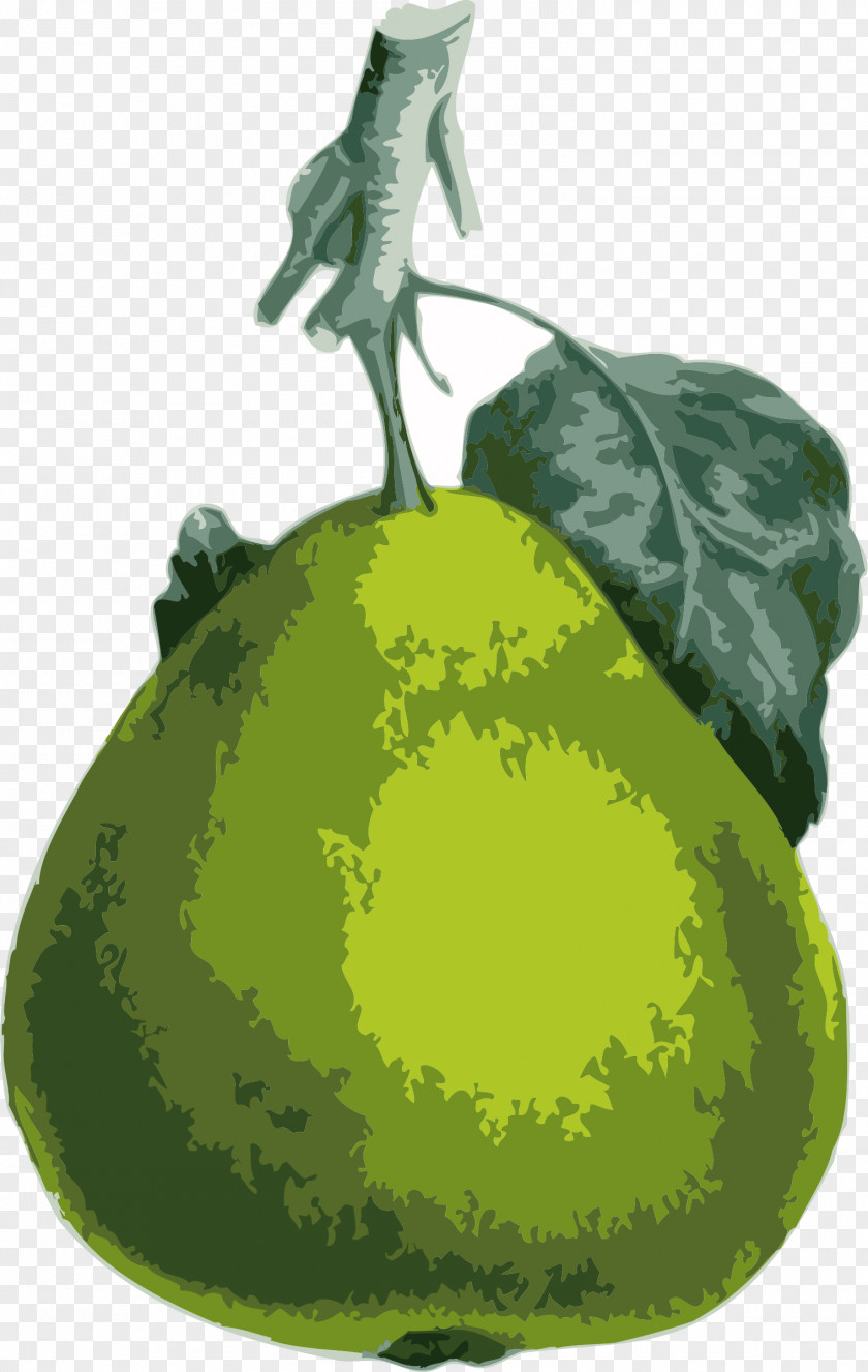 Pear Download Clip Art PNG