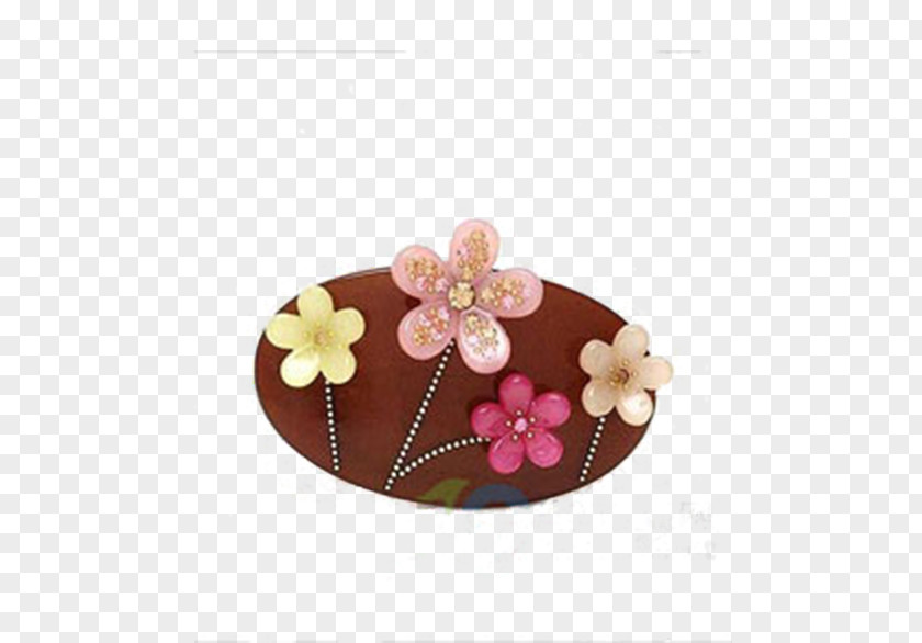 Pin Barrette Fashion Accessory Hair PNG