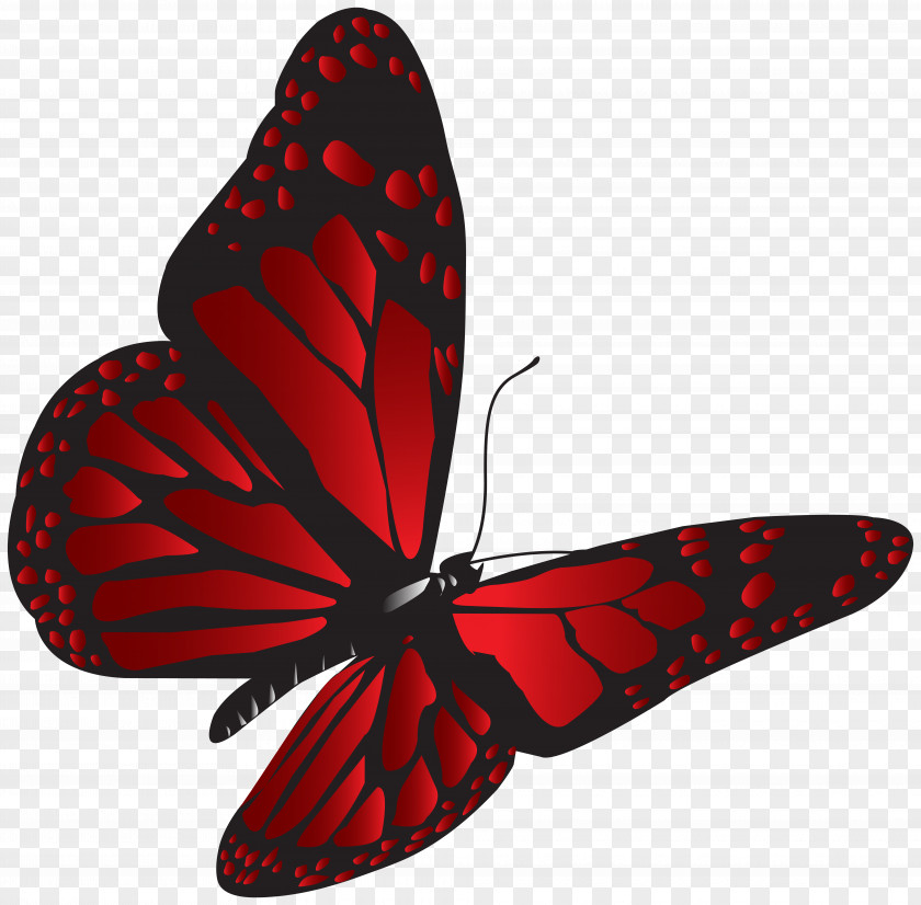 Red Butterfly Clip Art Image File Formats Lossless Compression PNG