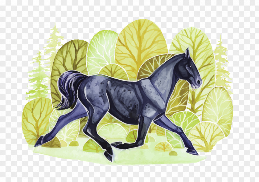 Vector Watercolour Horse Mustang Watercolor Painting Illustration PNG