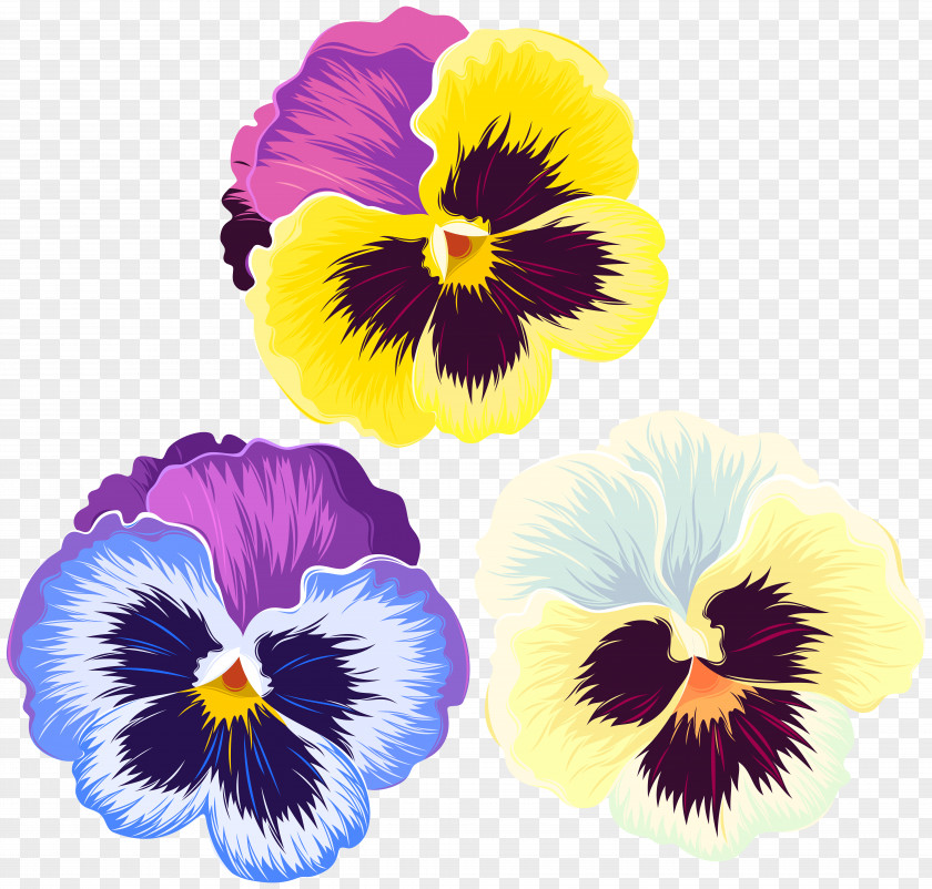 Violets Clip Art PNG
