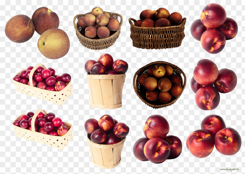 Apricot Nectarine Food Cerasus Cranberry PNG