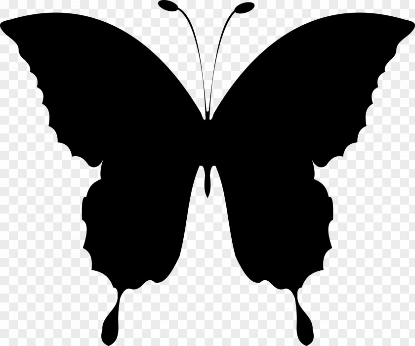 Butterfly Clip Art Openclipart Image PNG
