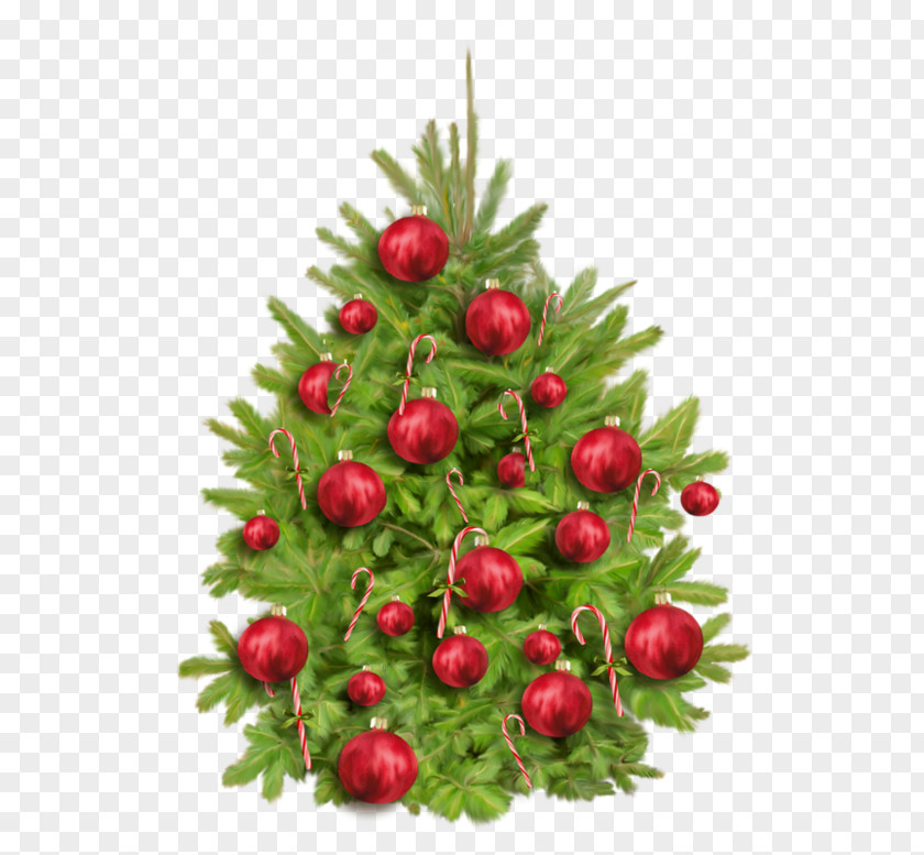Christmas Tree Day Party Image New Year PNG