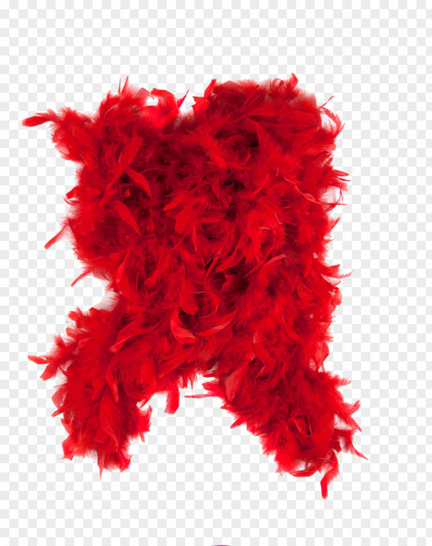 Feather Boa Flapper Clothing Zucker TM PNG