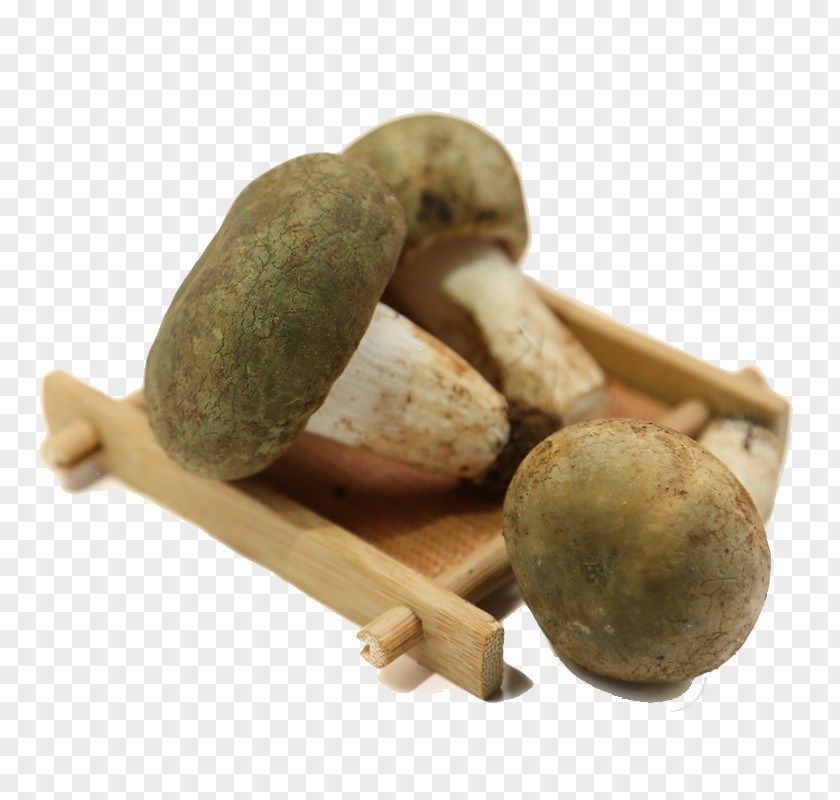 Green Mushroom Head Shiitake Food PNG
