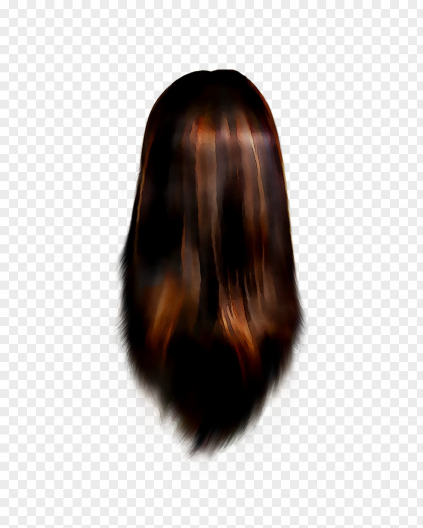 Hair Coloring Brown Black Long PNG