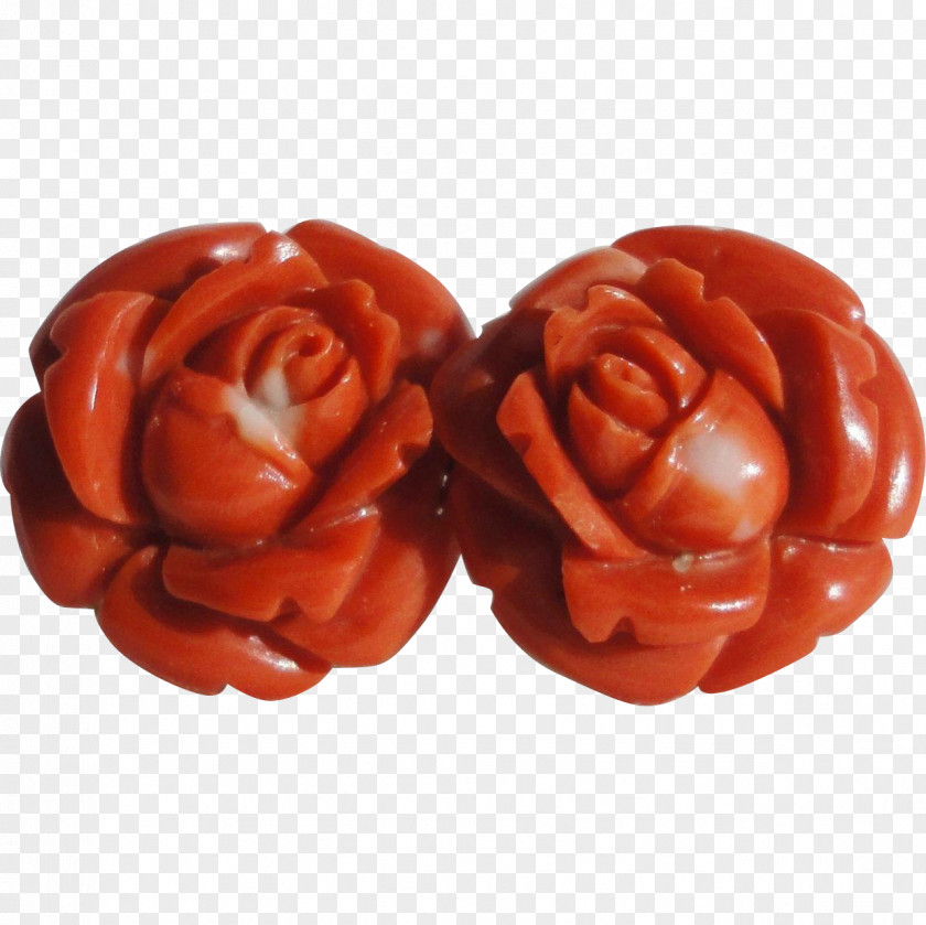 Jewellery Clothing Accessories Bead Amber Jewelry Design PNG
