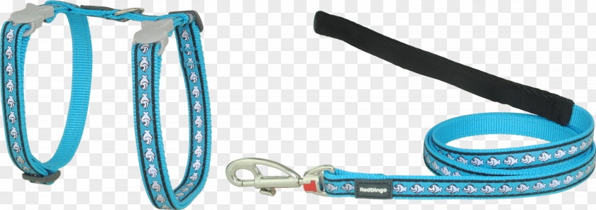 Jewellery Leash Turquoise Body PNG