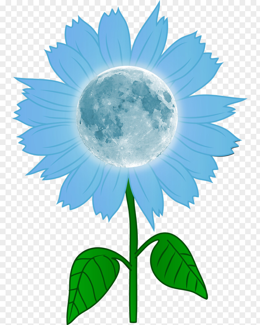 Moon Flower Common Sunflower Drawing Clip Art PNG
