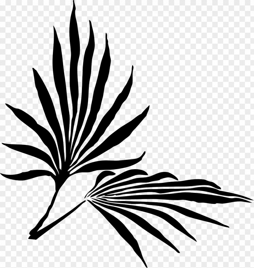 Black And White Flowers Branch Decorative Backgrou Palm Sunday Easter Clip Art PNG