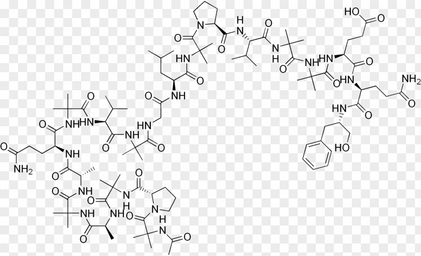 Ethic Peptide Bond Amino Acid Alamethicin Ghrelin PNG